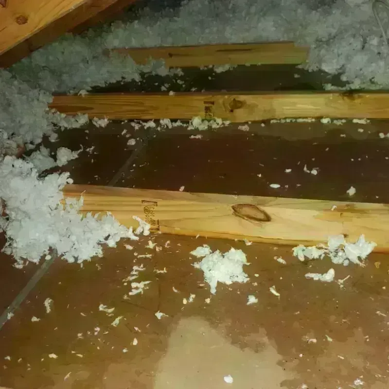 Attic Water Damage in Greenville, CA