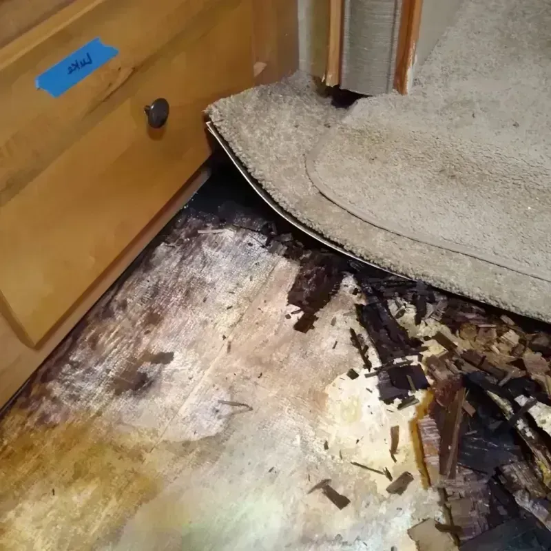 Wood Floor Water Damage in Greenville, CA